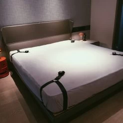 Adjustable Bed Restraint Strap