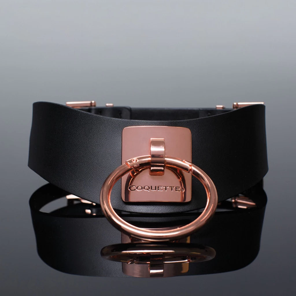 Coquette Pleasure Collar - Image 5